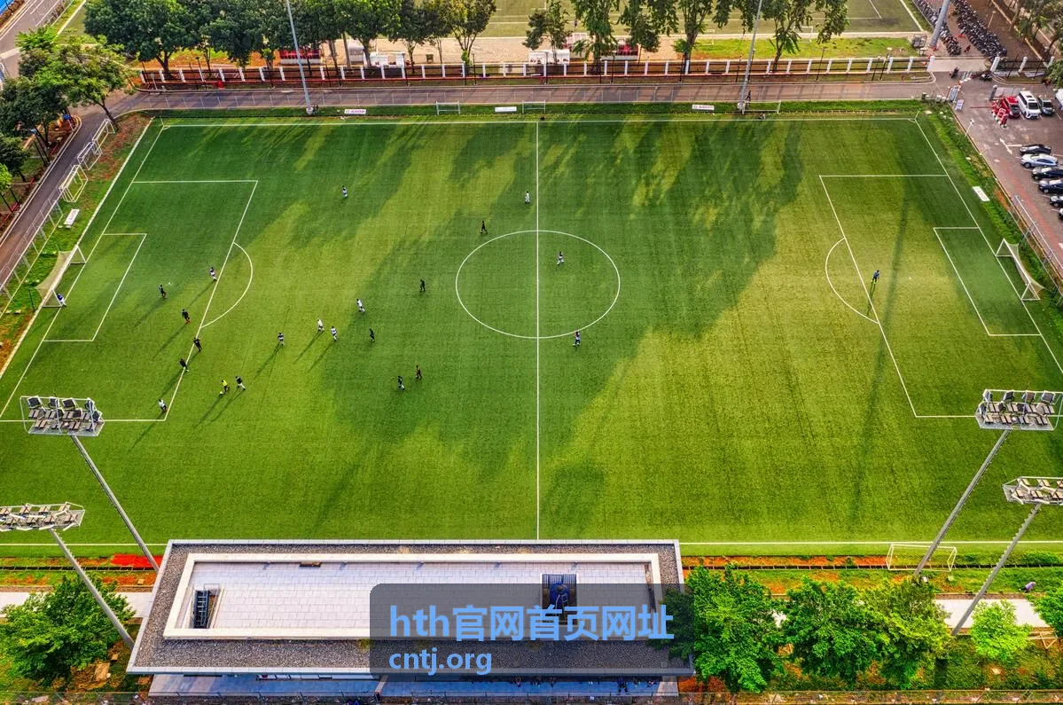 hth官网首页网址 访问环境检查说明