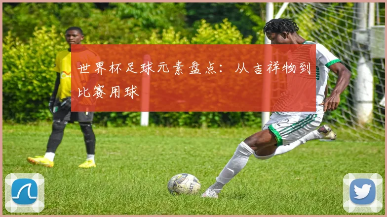 世界杯足球元素盘点：从吉祥物到比赛用球